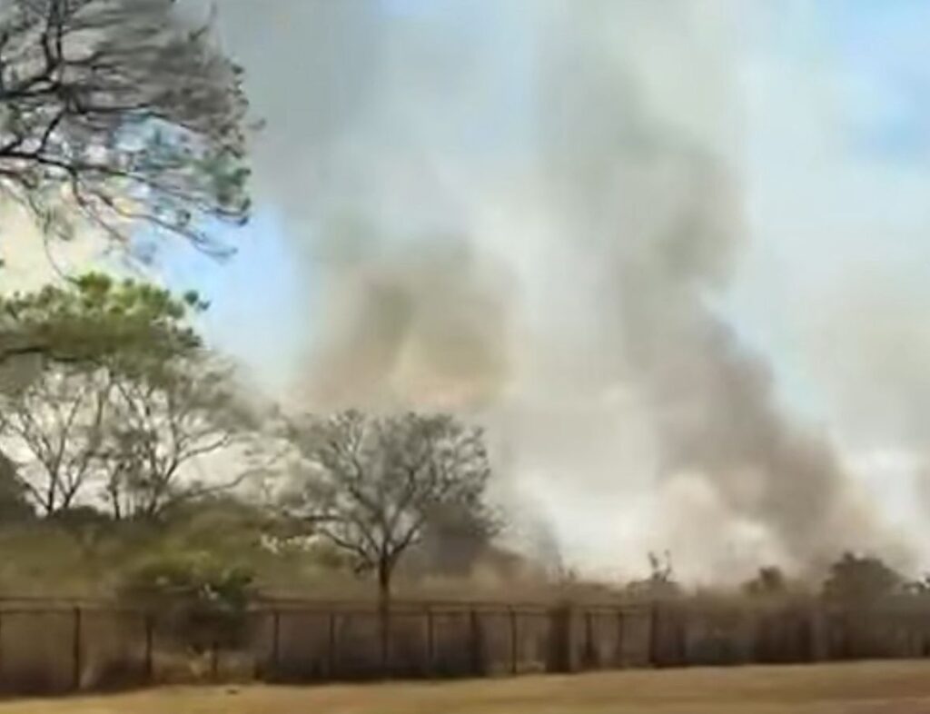 Incêndio atinge área de mata próxima ao Aeroporto Internacional de Brasília e mobiliza bombeiros