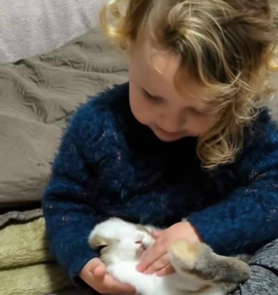 Vídeo de menina alimentando coelhinha na boca derrete a internet e emociona com laço de amizade raro; Veja vídeo