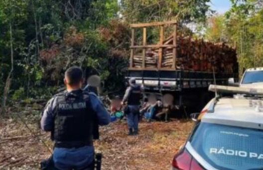 Oito presos em operação contra desmatamento ilegal em Nova Ubiratã
