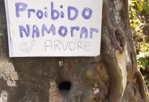 Influenciador veda árvore usada para encontros íntimos em MT
