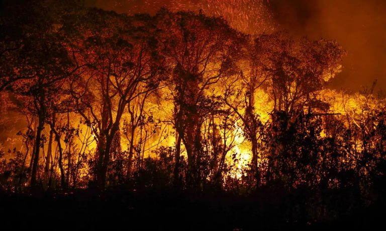 Lei de Crimes Ambientais: legislação brasileira é suficiente para a crise climática?