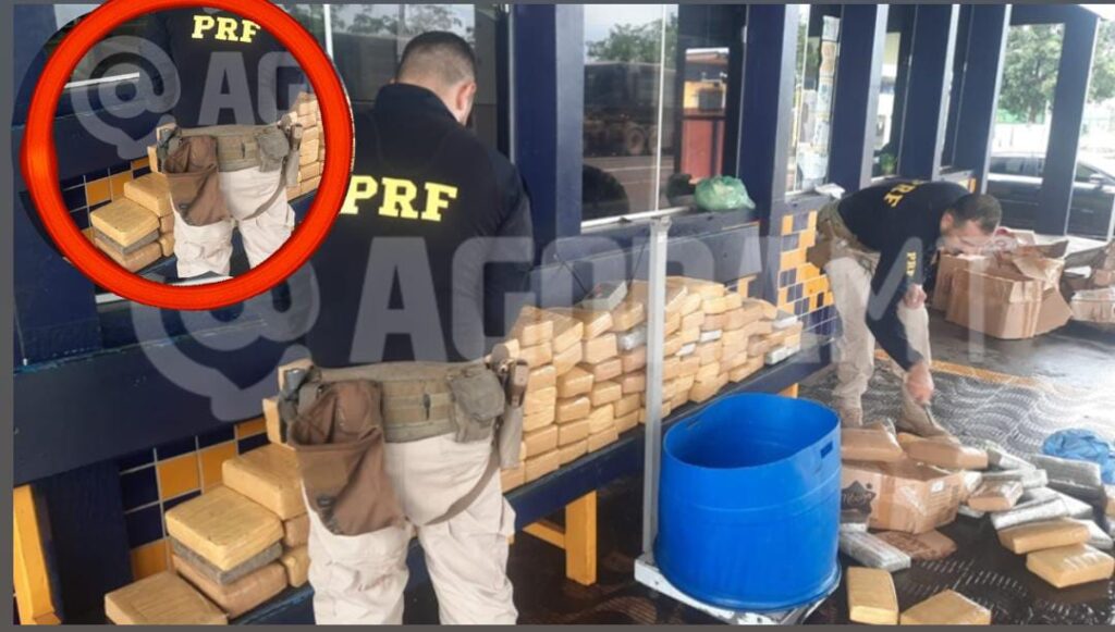 PRF apreende 161 kg de drogas em caminhão na BR-364 em MT