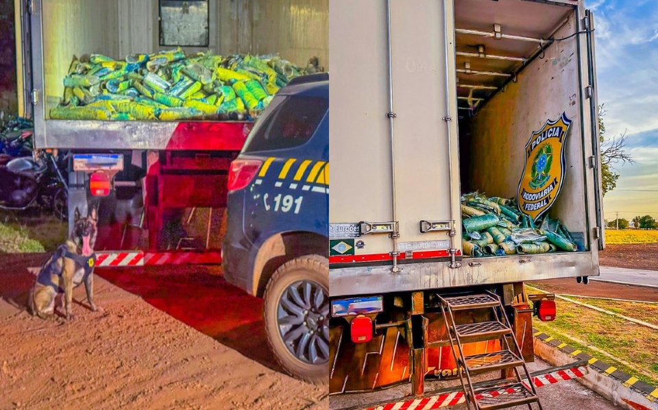 PRF apreende 1,1 tonelada de skunk em Rondonópolis