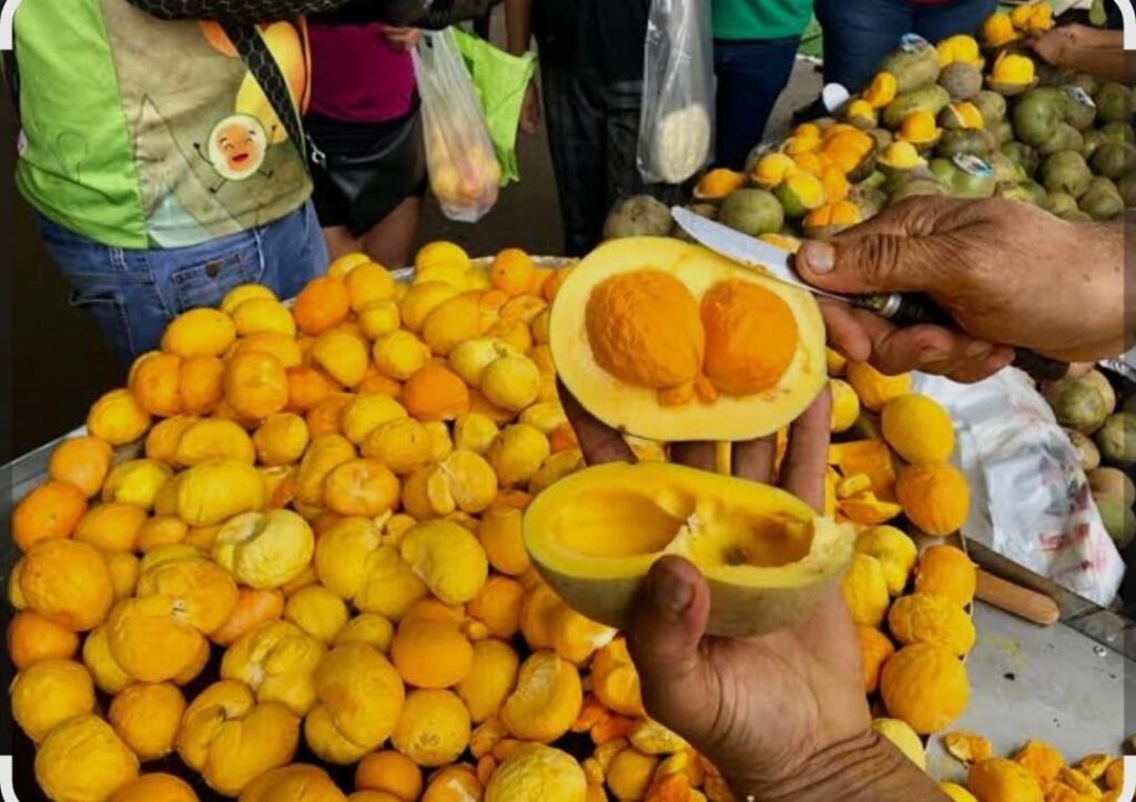 Polícia Civil flagra venda enganosa de pequi em feira de Aparecida de Goiânia