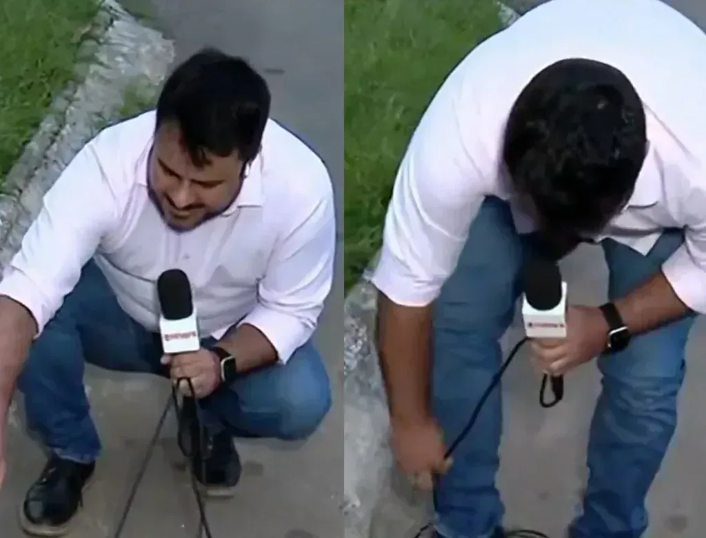 Quatro cachorros atacam microfone de repórter durante jor… e ganha peso na reper em destaque