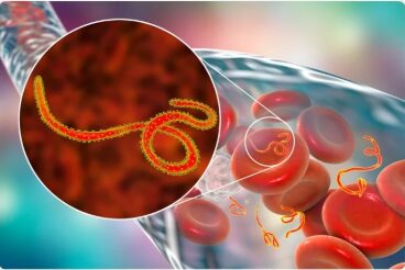 surto de ebola OMS alerta internacional em destaque