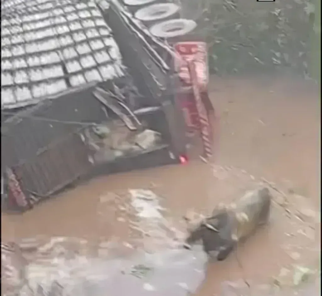 acidente carreta bovinos MT-220 impacto transporte agropecuário em destaque
