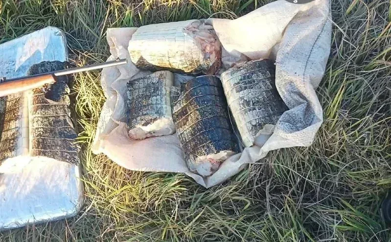 fiscalização ambiental apreensão Poconé MT em destaque