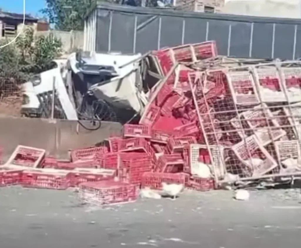 acidente carreta BR-262 impacto regional em destaque