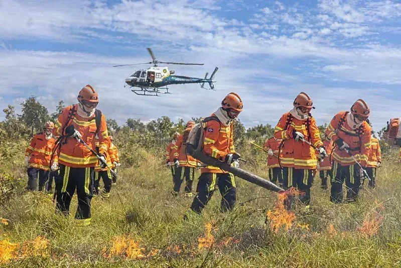 proibição uso do fogo Mato Grosso 2026 em destaque